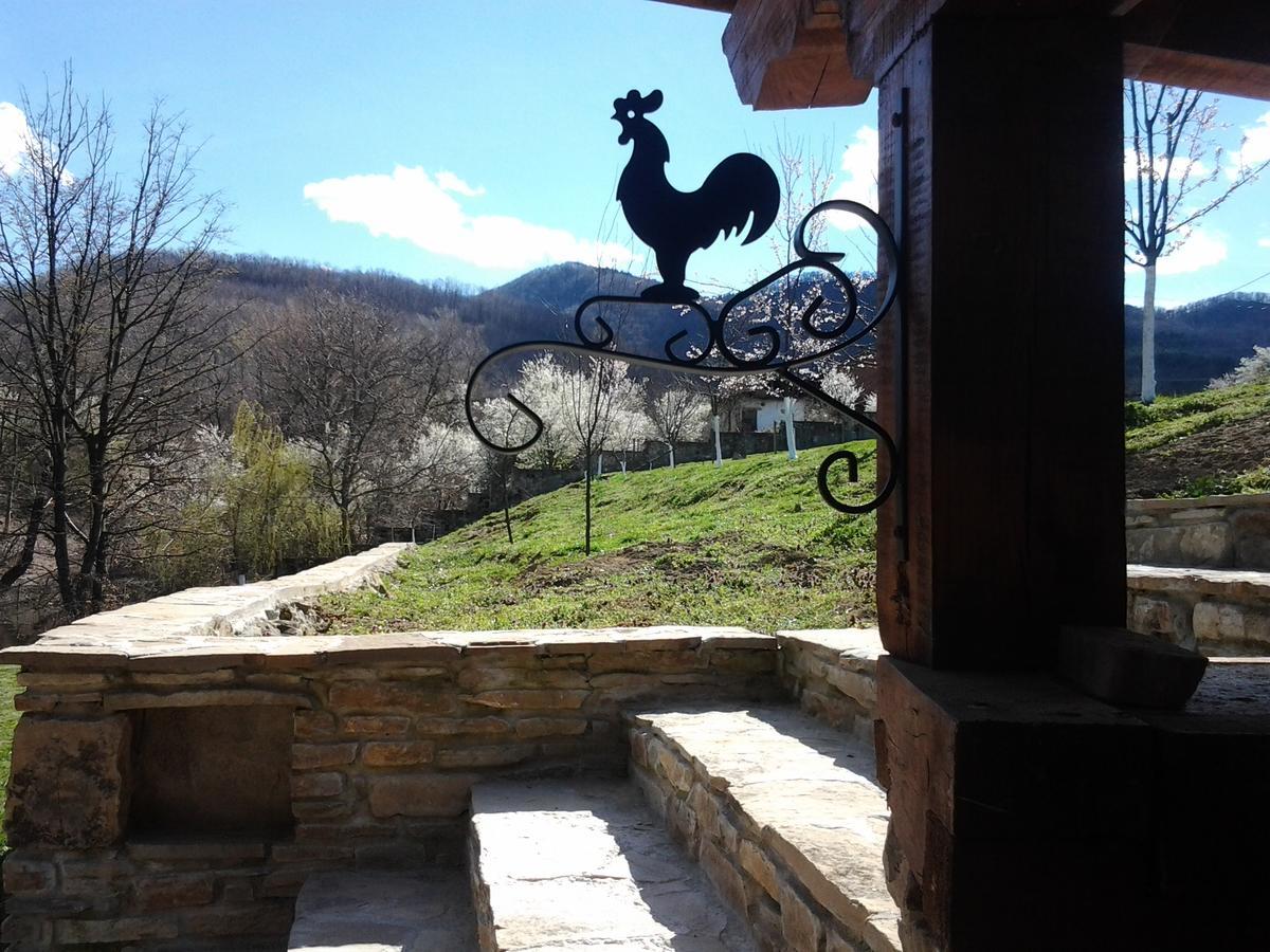 Villa Lavanda Elena Kültér fotó