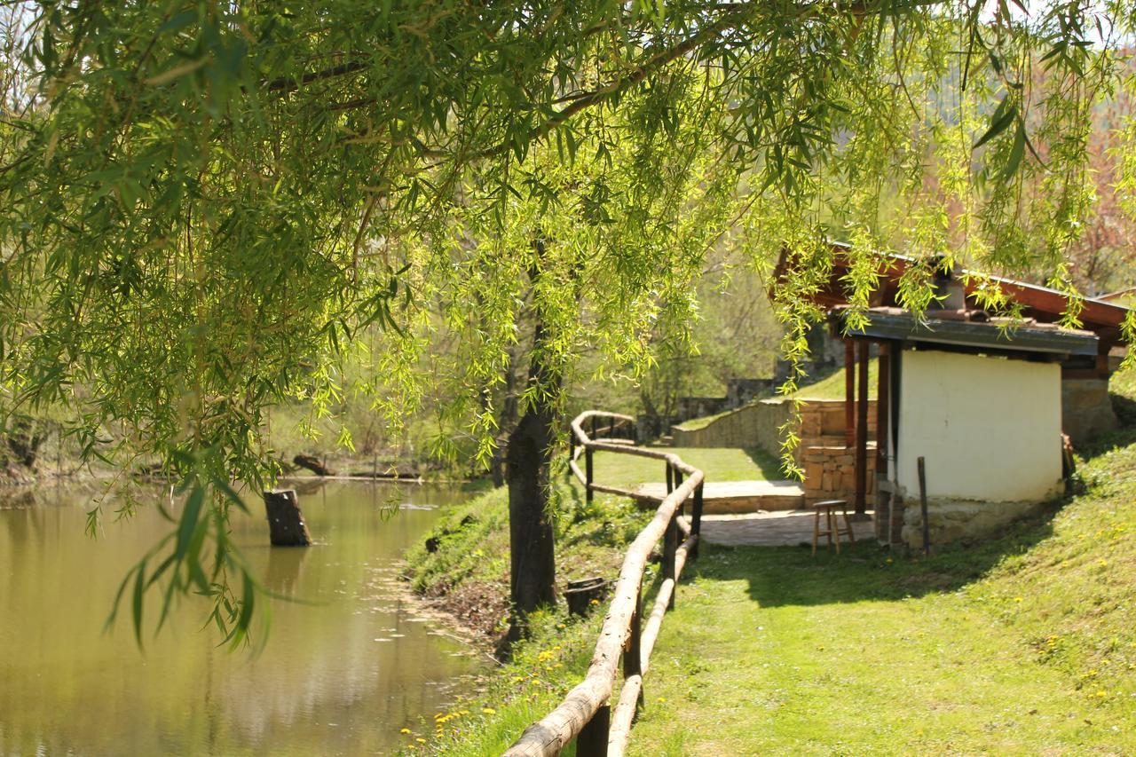 Villa Lavanda Elena Kültér fotó