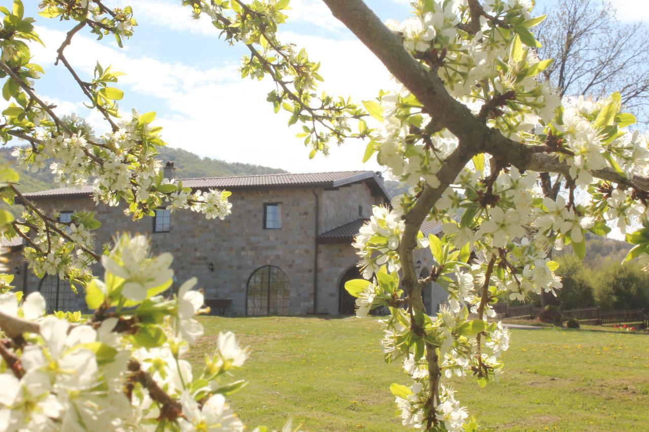 Villa Lavanda Elena Kültér fotó